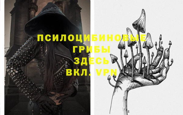 ПСИЛОЦИБИНОВЫЕ ГРИБЫ Алексеевка