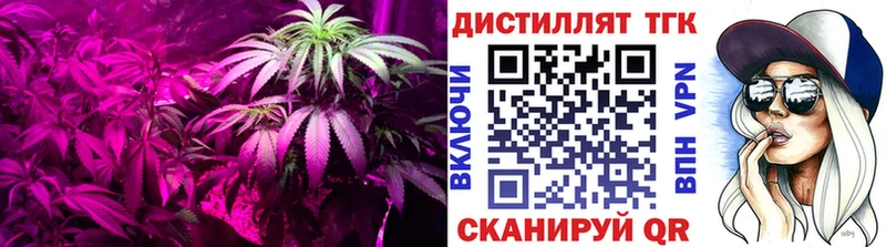 ТГК жижа  Купить закладки  Тетюши 