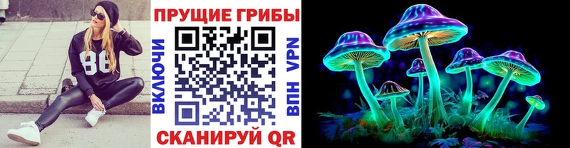 Купить где  Тетюши  Псилоцибиновые грибы мицелий 