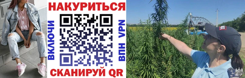 Бошки марихуана гибрид Тетюши